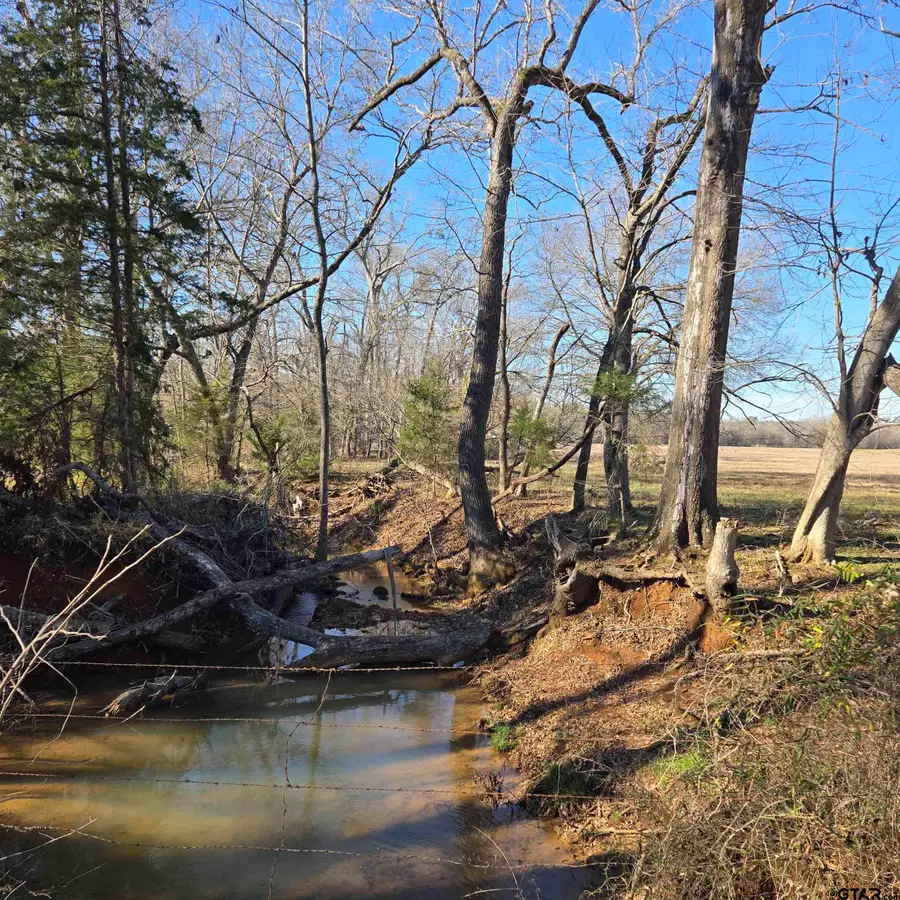 TBD COUNTY ROAD 1106, Flint, TX 75762 - #3