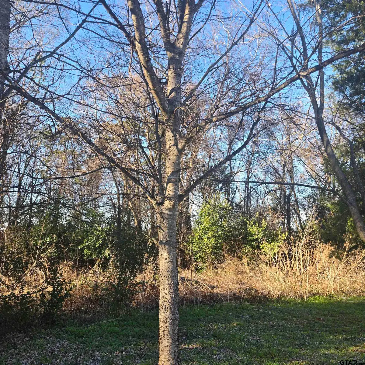 TBD ROLLING WOOD HILLS SUBDIVISION, Bullard, TX 75757 - #1