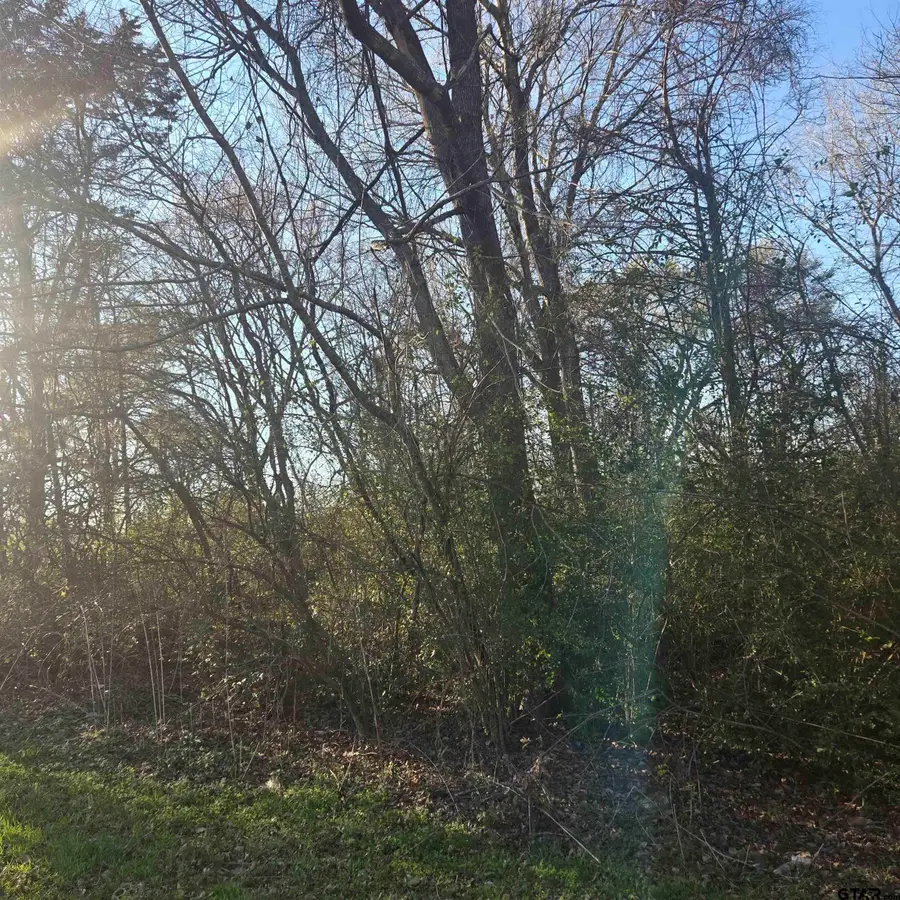 TBD ROLLING WOOD HILLS SUBDIVISION, Bullard, TX 75757 - #2