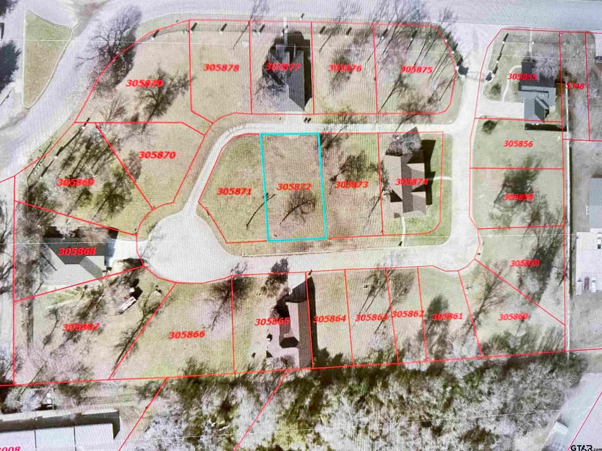 117 Palomita Cove, Athens, TX 75752 - #1