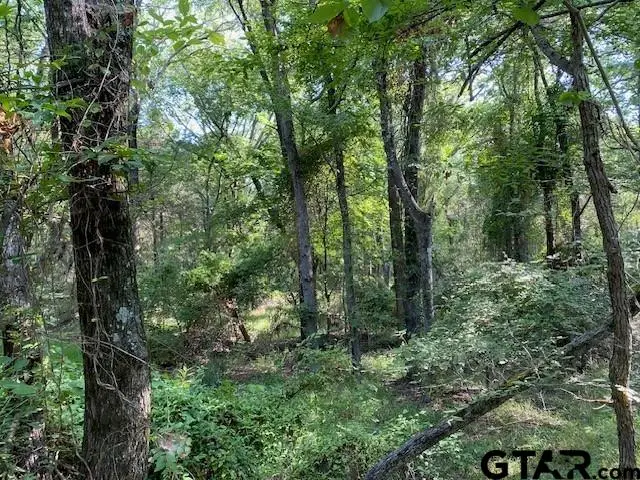 TR 3-A Cr 41514, Athens, TX 75751 - #1