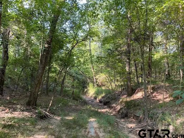TR 3-A Cr 41514, Athens, TX 75751 - #2