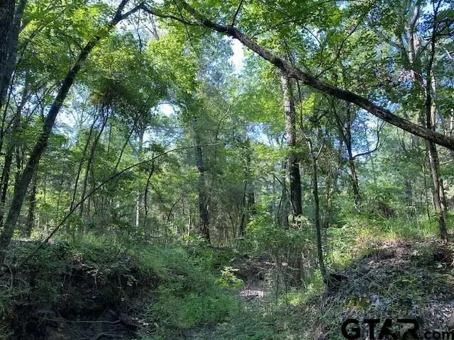 TR 3-A Cr 41514, Athens, TX 75751 - #3