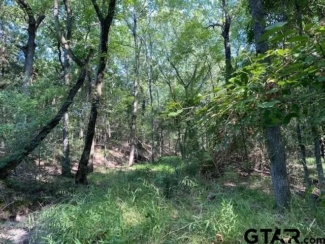 TR 4-A Cr 41514, Athens, TX 75751 - #3