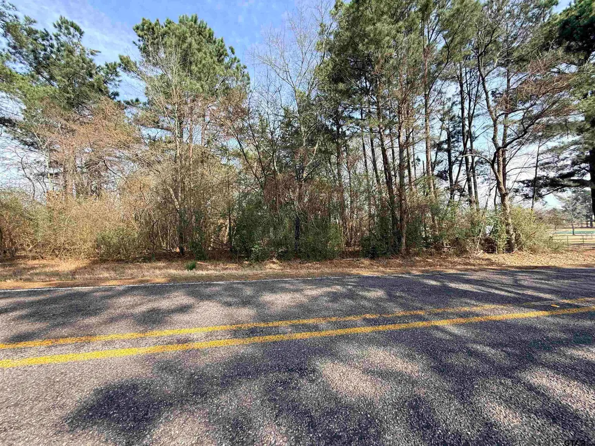 20425 FM 15, Troup, TX 75789 - #1