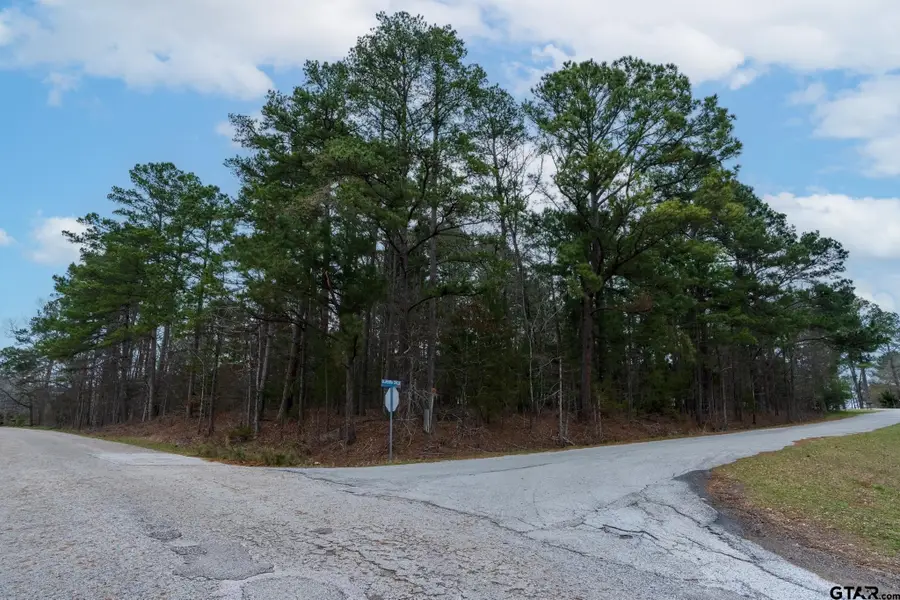 0 Sunshine Lane, Troup, TX 75789 - #3