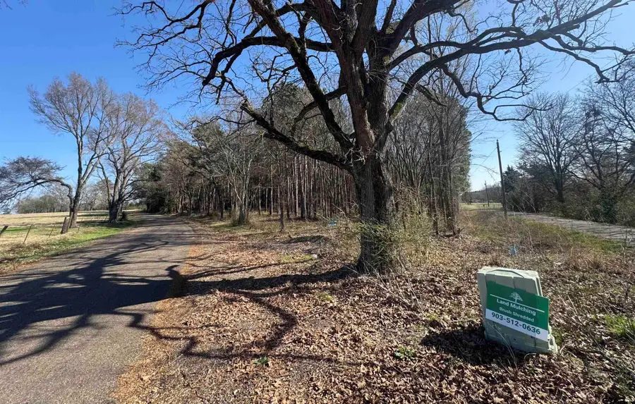 TBD CR 4310 & 4313, Pittsburg, TX 75686 - #3