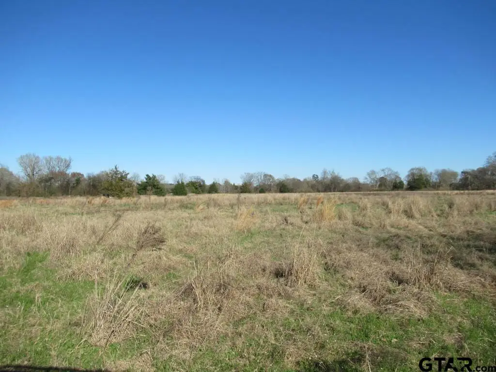 77.95 AC Hwy 110, Jacksonville, TX 75766 - #1