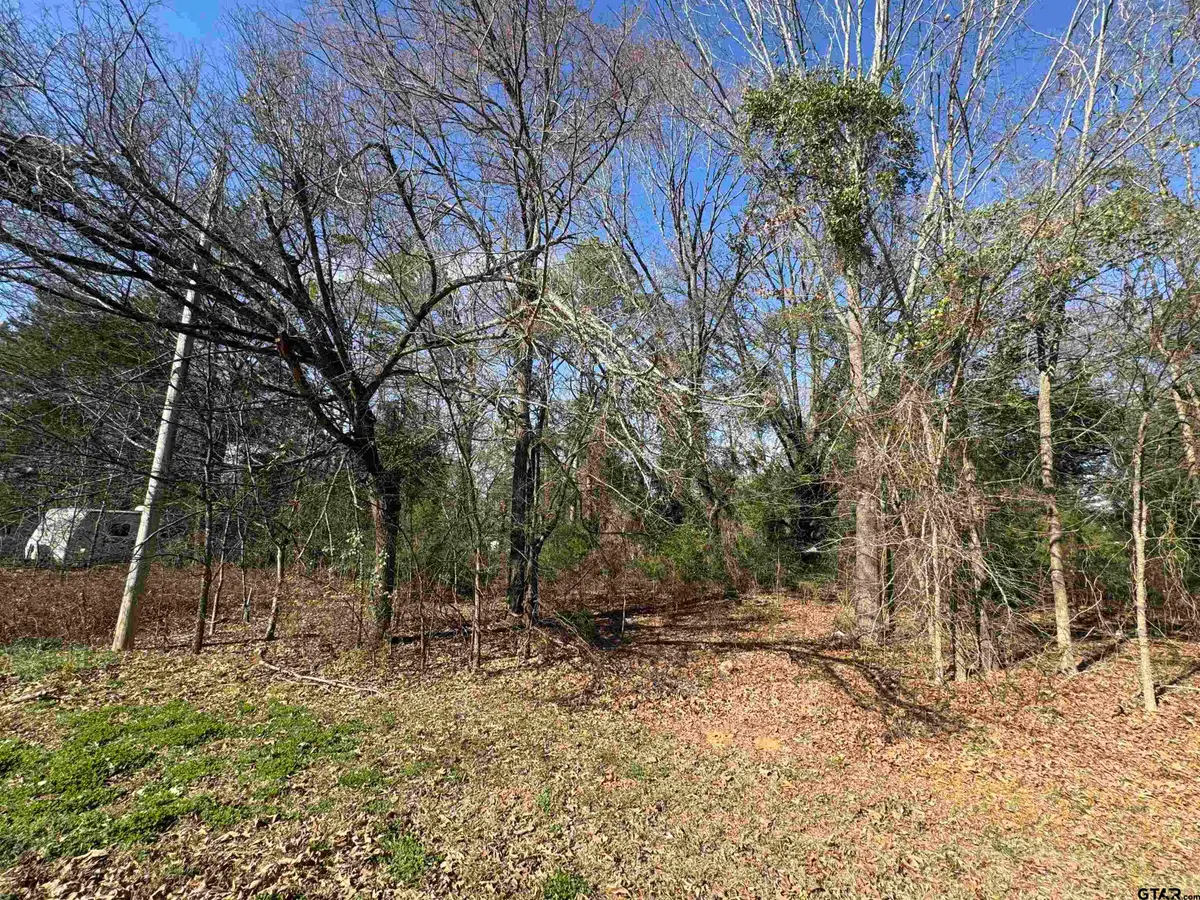 TBD Private Road 52040, Pittsburg, TX 75686 - #1