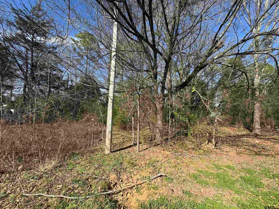 TBD Private Road 52040, Pittsburg, TX 75686 - #3