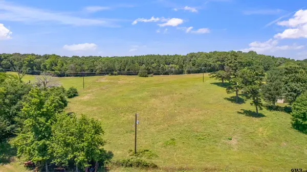 12250 CR 3513, Brownsboro, TX 75756