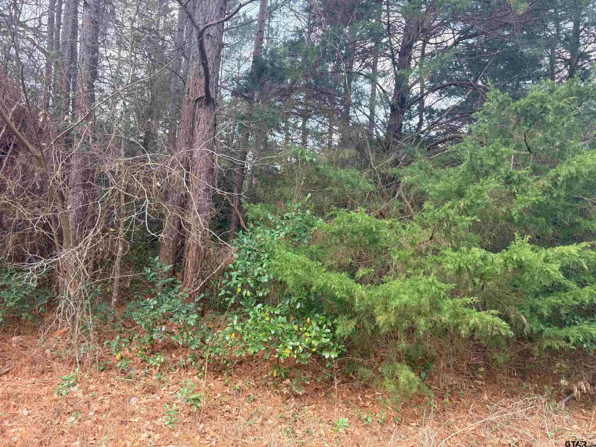 406 Janis, Bullard, TX 75757 - #1