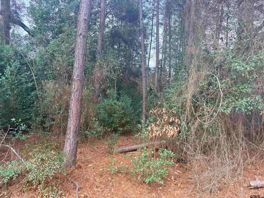 406 Janis, Bullard, TX 75757 - #2