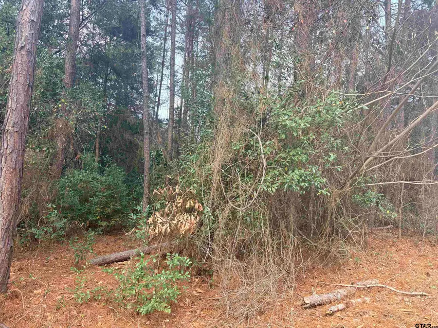 406 Janis, Bullard, TX 75757 - #3