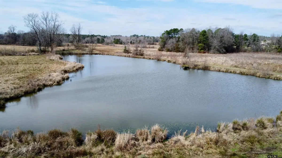 TBD CR 1460, Linden, TX 75563 - #1