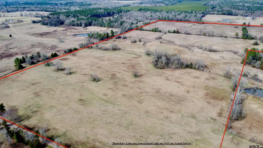 TBD CR 1460-1, Linden, TX 75563 - #2