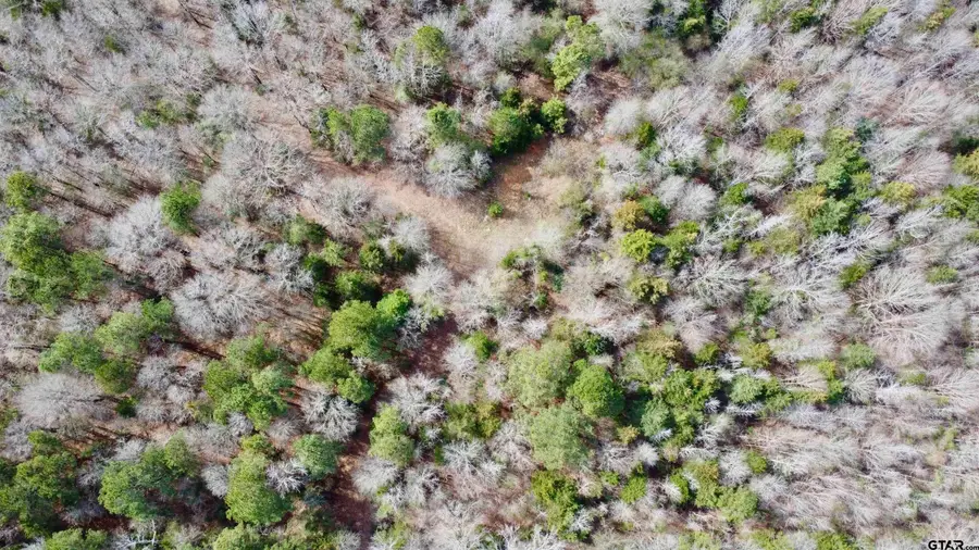 TBD CR 1460-4, Linden, TX 75563 - #2