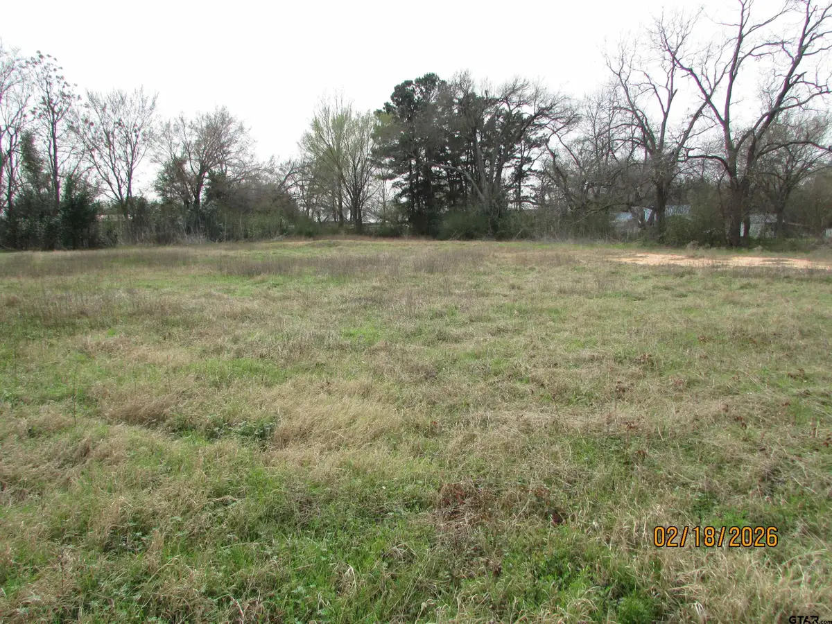 11224 CR 4355, Larue, TX 75770 - #1