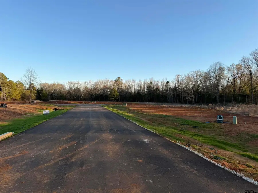 14009 Hidden Brook Ln, Flint, TX 75762 - #3