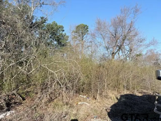 3828 CR 219, Tyler, TX 75701 - #3