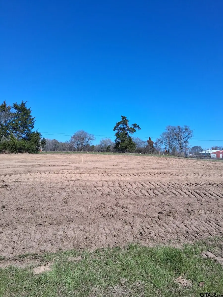 17814 CR 285, Arp, TX 75750 - #2