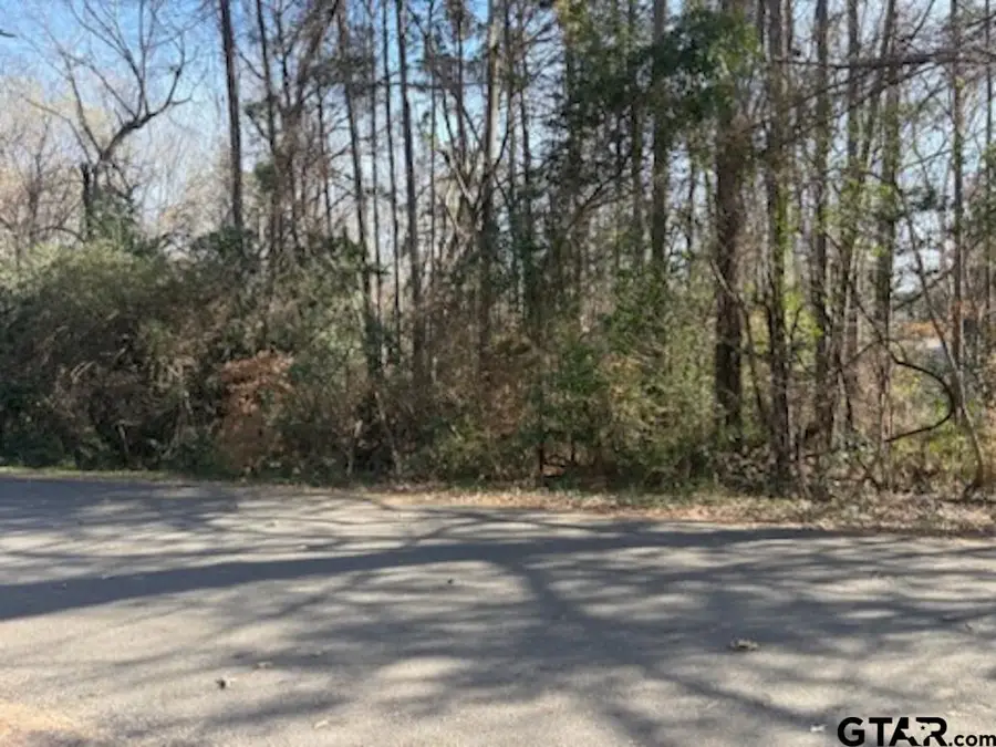 TBD Gifford St, Rusk, TX 75785 - #2