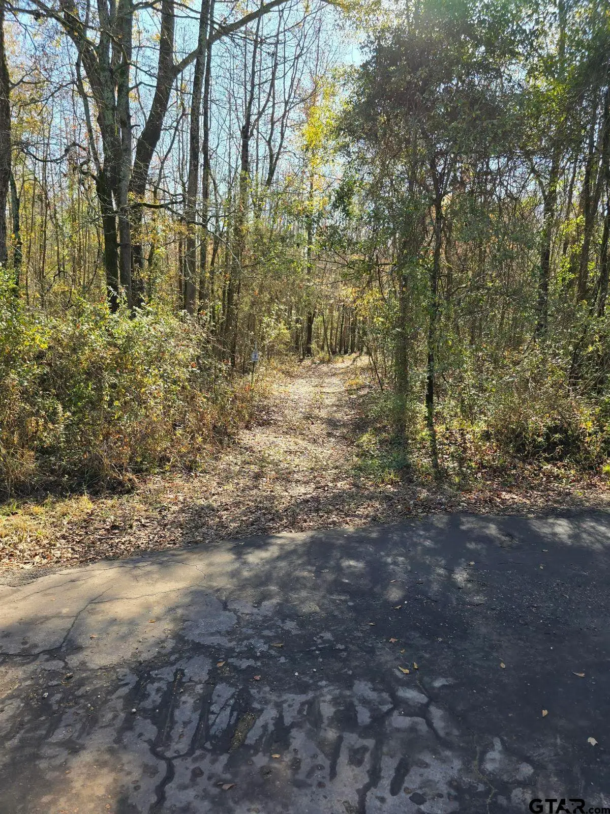 NA CR 3324, Pittsburg, TX 75686 - #1