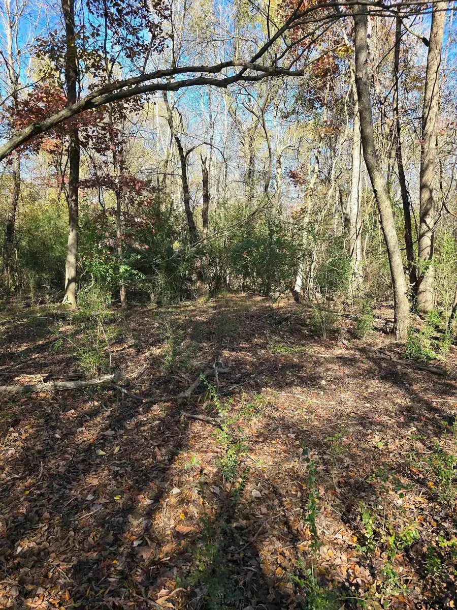 NA CR 3324, Pittsburg, TX 75686 - #2