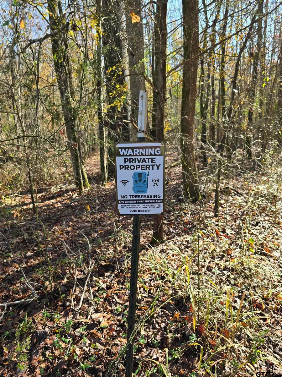 NA CR 3324, Pittsburg, TX 75686 - #3