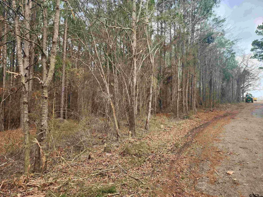 4665 CR 4114, Hughes Springs, TX 75656 - #2