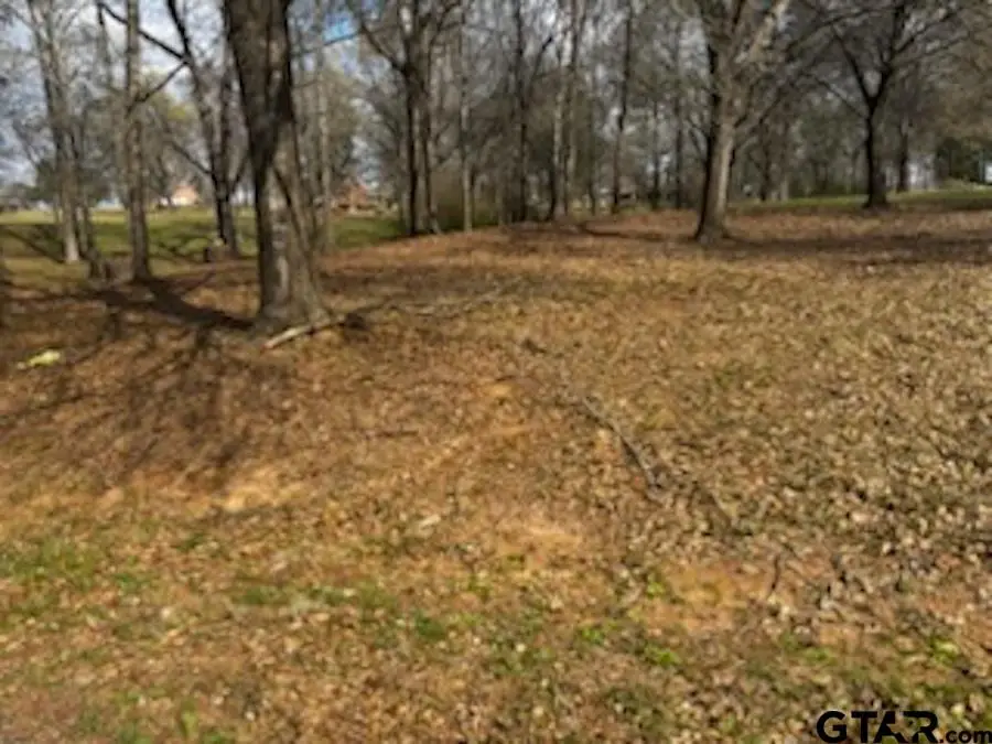 TBD CR 1407 Lot 3, Jacksonville, TX 75766 - #1