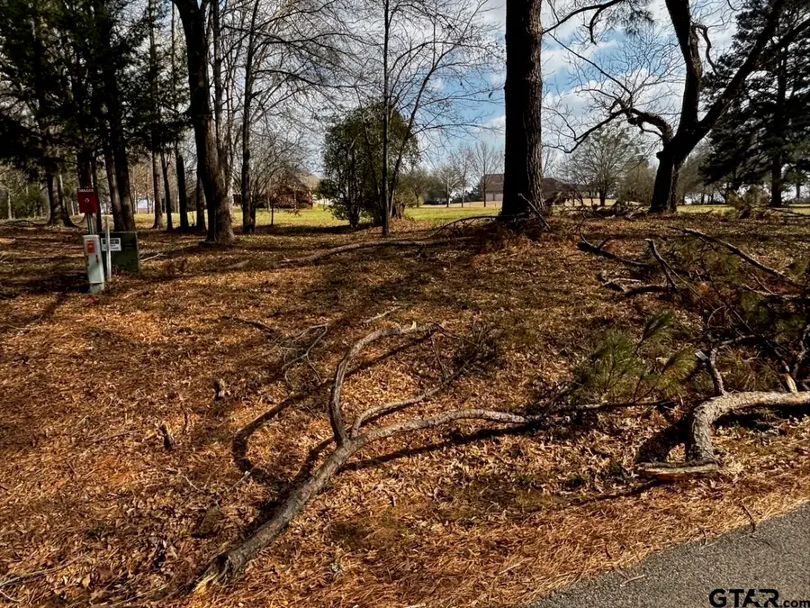 TBD CR 1407 Lot 3, Jacksonville, TX 75766 - #2