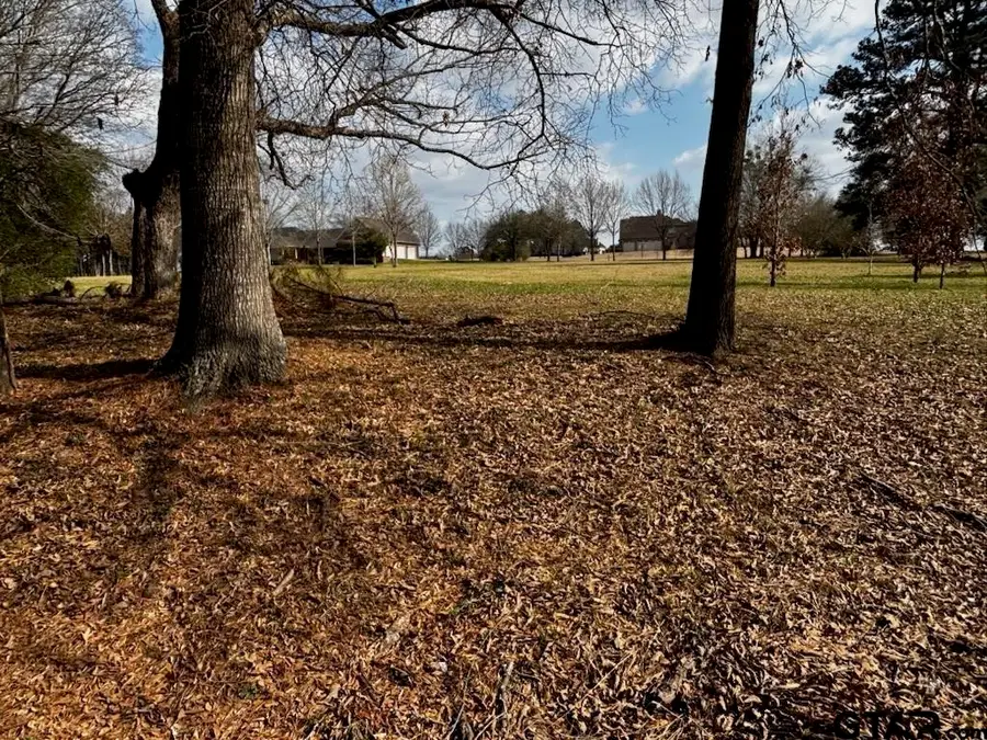 TBD CR 1407 Lot 3, Jacksonville, TX 75766 - #3