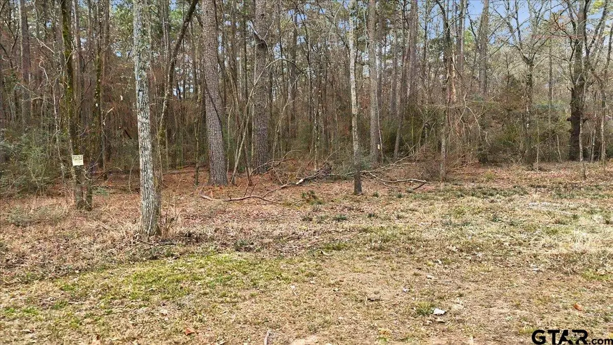 12174 S CR 3153, Mount Enterprise, TX 75681 - #1