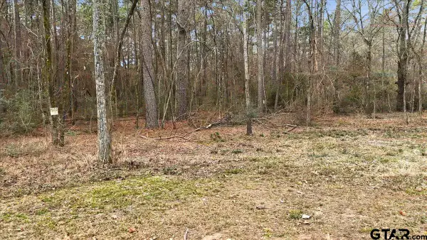 12174 S CR 3153, Mt Enterprise, TX 75681