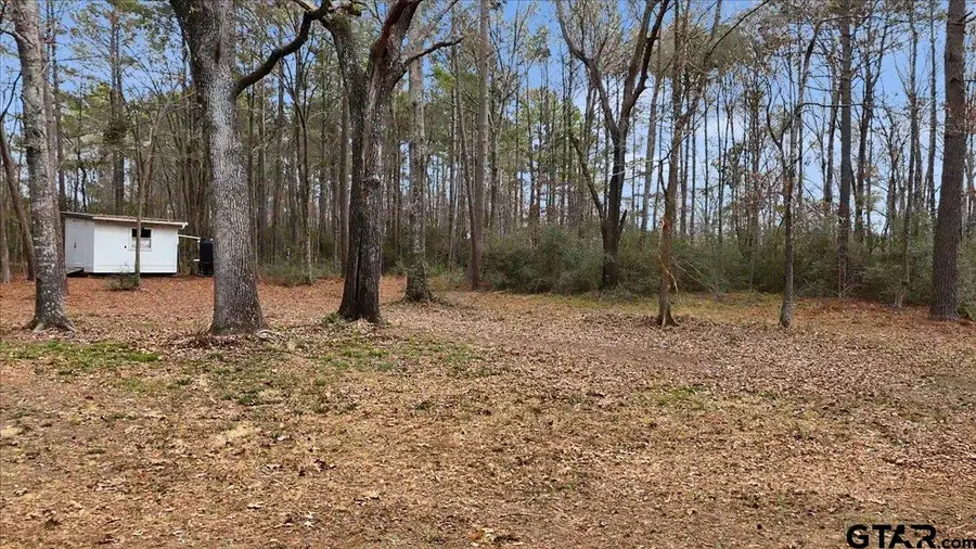 12174 S CR 3153, Mount Enterprise, TX 75681 - #3