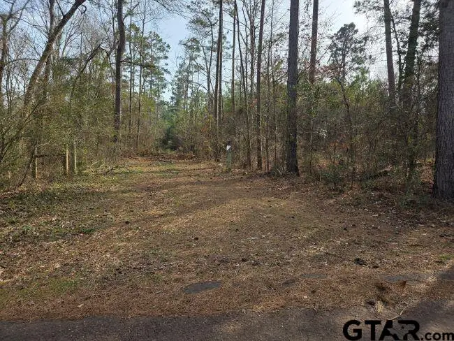 TBD 7.85 ac CR 3206, Laneville, TX 75667 - #2