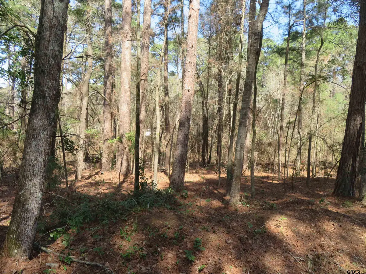 19904 Channel View dr., Flint, TX 75762 - #1