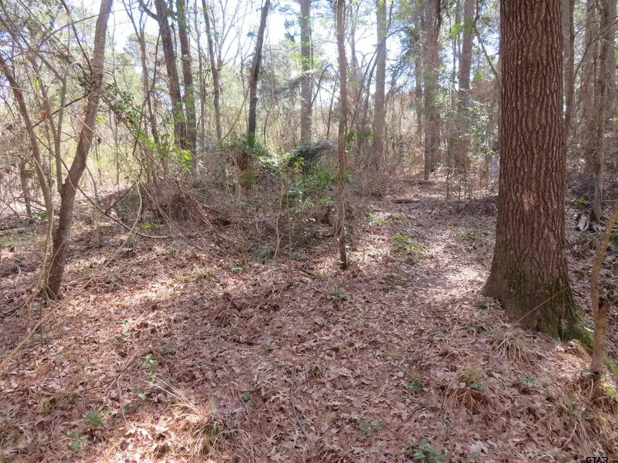 19904 Channel View dr., Flint, TX 75762 - #3