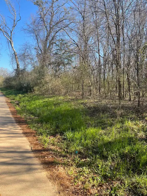 TBD CR 2151 (Tract 1), Troup, TX 75789