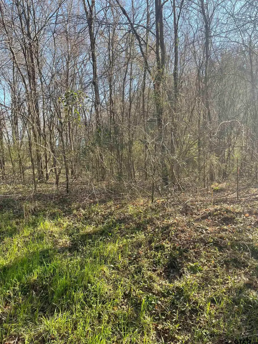 TBD CR 2151 (Tract 1), Troup, TX 75789 - #2