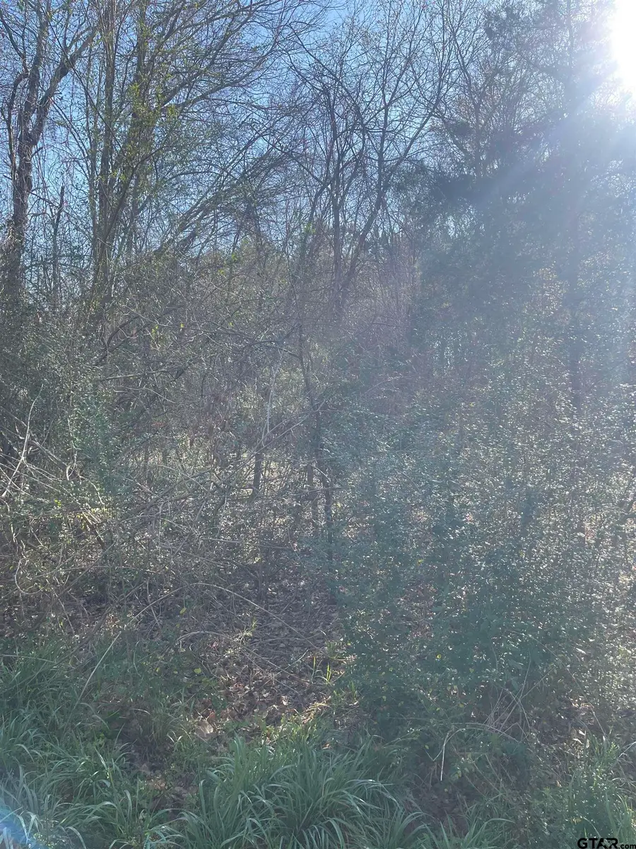 TBD CR 2151 (Tract 1), Troup, TX 75789 - #3