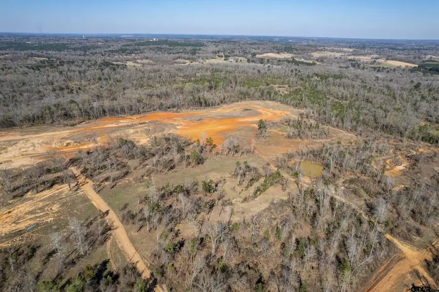 0 Back Forty, Whitehouse, TX 75791 - #3