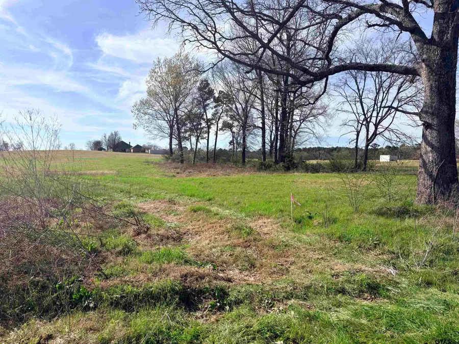 LOT 5A CR 2169, Troup, TX 75789 - #2