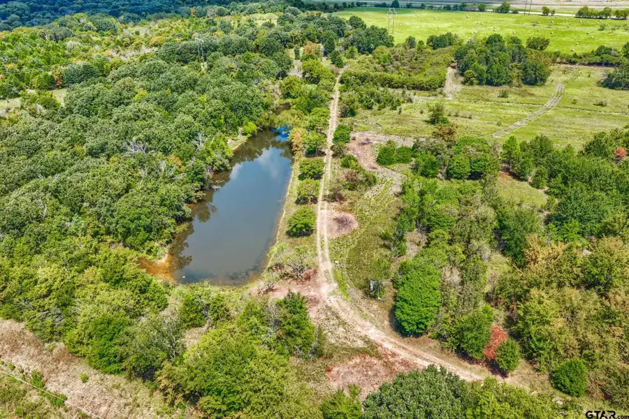 12960 County Road 4006, Mabank, TX 75147 - #3