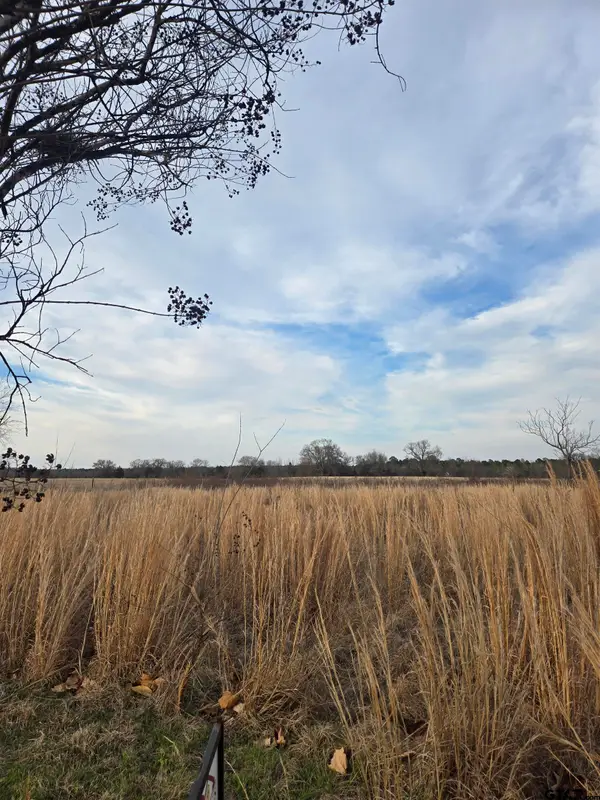 TBD CR 4836 0.50, Winnsboro, TX 75494