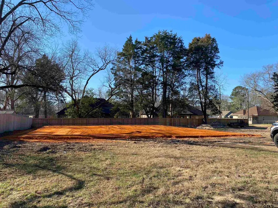 702 Davis Ave, Quitman, TX 75783 - #3