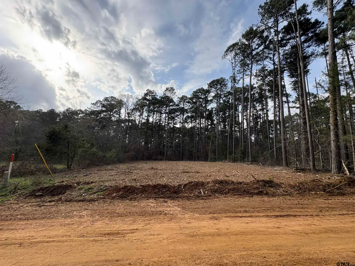 269 Sand Jack Dr, Bullard, TX 75757 - #1