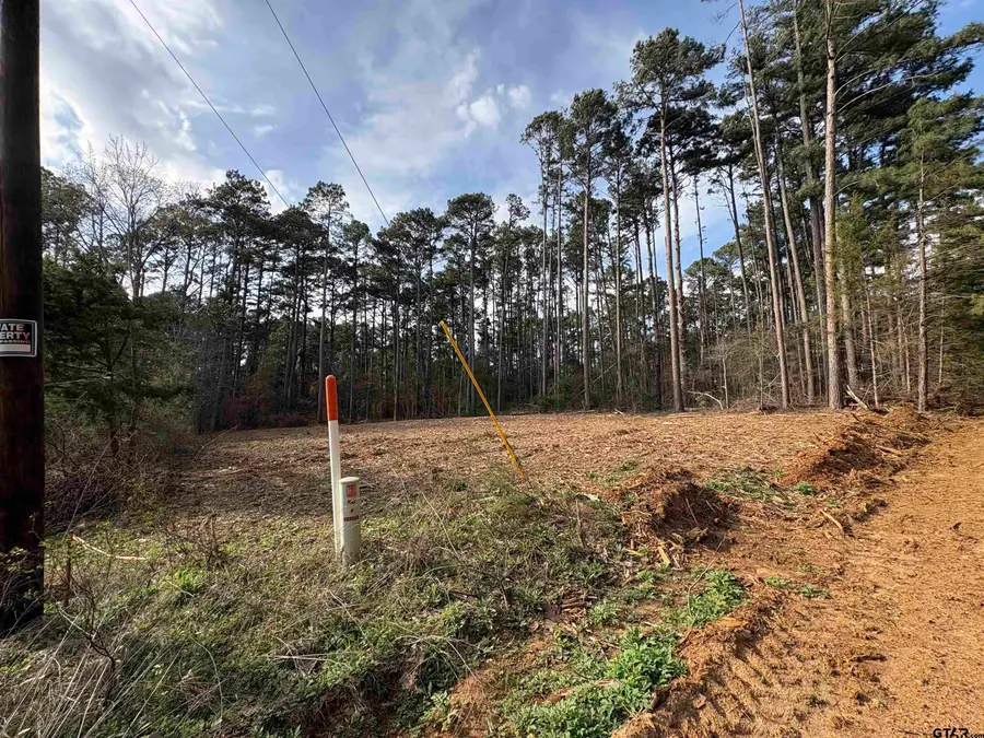 269 Sand Jack Dr, Bullard, TX 75757 - #2