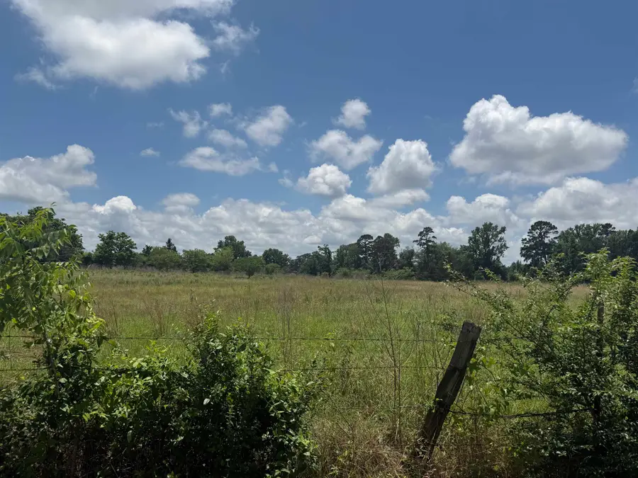 Tract 3 CR 2168, Troup, TX 75789 - #2